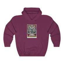 Load image into Gallery viewer, Abraham Lincoln and Andrew Johnson 1864 Campaign Banner Hoodie