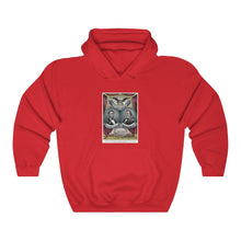 Load image into Gallery viewer, Abraham Lincoln and Andrew Johnson 1864 Campaign Banner Hoodie