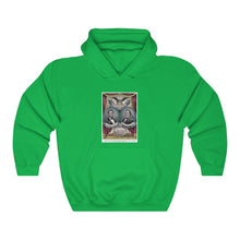 Load image into Gallery viewer, Abraham Lincoln and Andrew Johnson 1864 Campaign Banner Hoodie